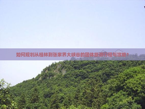 如何规划从桂林到张家界大峡谷的团体旅游行程与攻略？