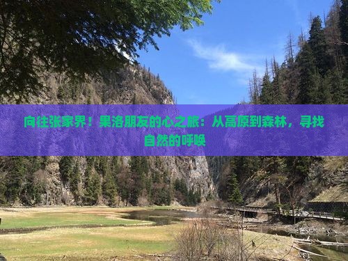向往张家界!果洛朋友的心之旅:从高原到森林,寻找自然的呼唤 向往张家界!果洛朋友的心之旅:从高原到森林,寻找自然的呼唤