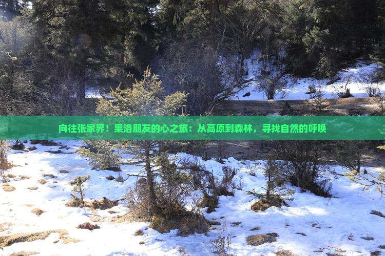 向往张家界!果洛朋友的心之旅:从高原到森林,寻找自然的呼唤 向往张家界!果洛朋友的心之旅:从高原到森林,寻找自然的呼唤