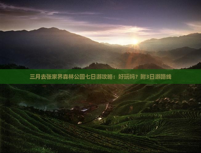 三月去张家界森林公园七日游攻略:好玩吗?附3日游路线 三月去张家界森林公园七日游攻略:好玩吗?附3日游路线