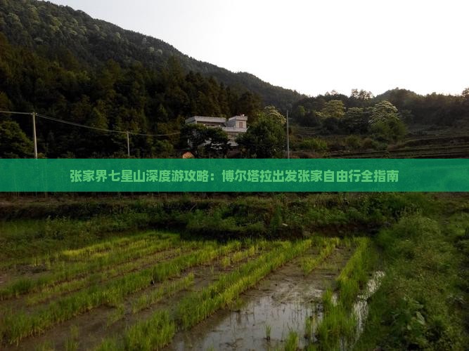 张家界七星山深度游攻略:博尔塔拉出发张家自由行全指南 张家界七星山深度游攻略:博尔塔拉出发张家自由行全指南