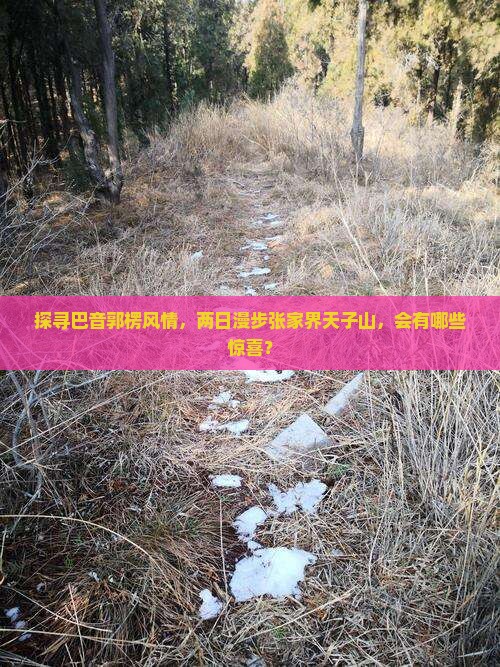 探寻巴音郭楞风情,两日漫步张家界天子山,会有哪些惊喜? 探寻巴音郭楞风情,两日漫步张家界天子山,会有哪些惊喜?