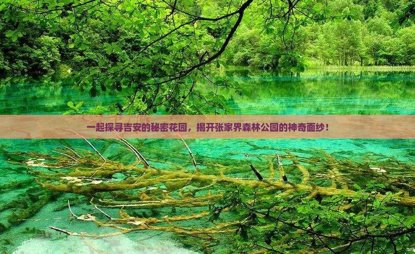 一起探寻吉安的秘密花园，揭开张家界森林公园的神奇面纱！