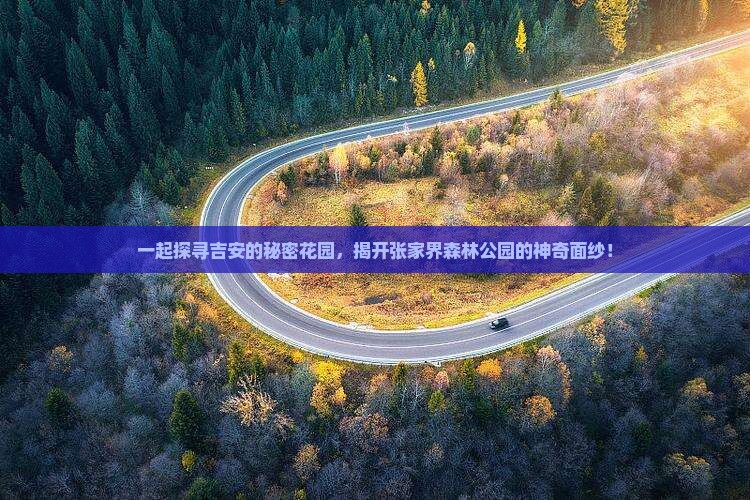 一起探寻吉安的秘密花园，揭开张家界森林公园的神奇面纱！
