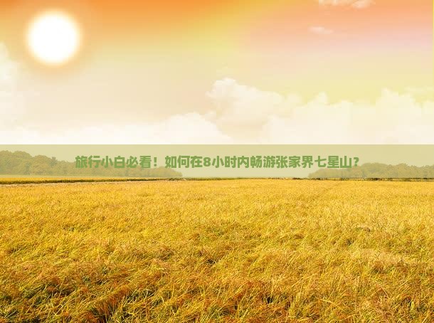 旅行小白必看！如何在8小时内畅游张家界七星山？