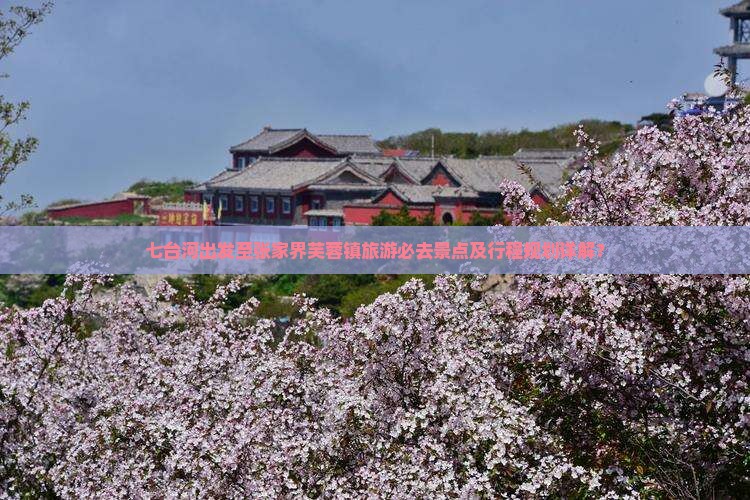 七台河出发至张家界芙蓉镇旅游必去景点及行程规划详解？