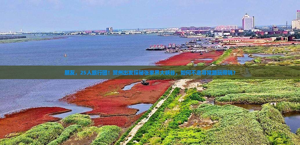 朋友，25人旅行团！贺州出发探秘张家界大峡谷，如何不走寻常路玩得嗨？
