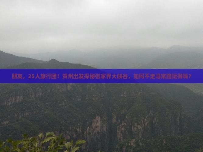 朋友，25人旅行团！贺州出发探秘张家界大峡谷，如何不走寻常路玩得嗨？