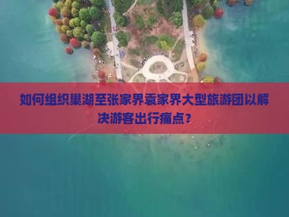 如何组织巢湖至张家界袁家界大型旅游团以解决游客出行痛点？