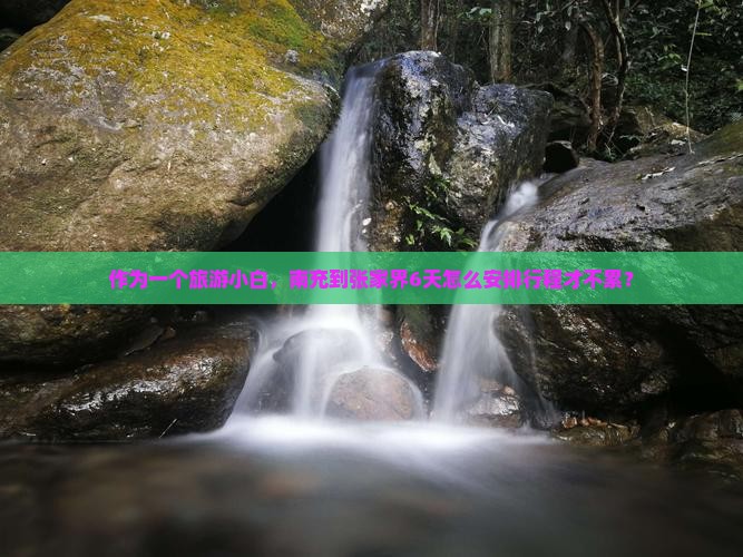 作为一个旅游小白，南充到张家界6天怎么安排行程才不累？