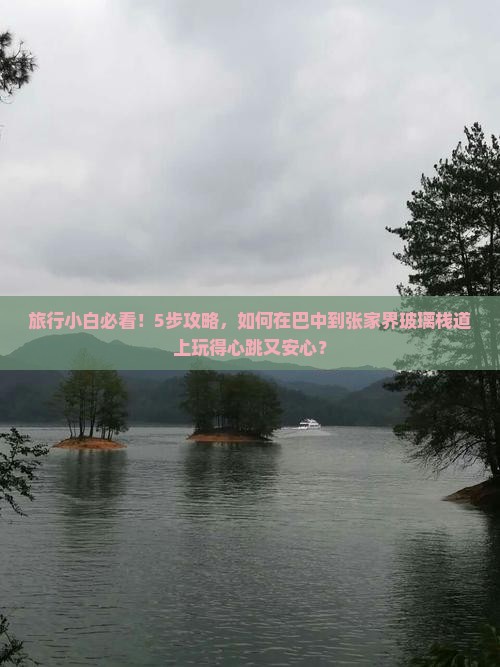旅行小白必看！5步攻略，如何在巴中到张家界玻璃栈道上玩得心跳又安心？