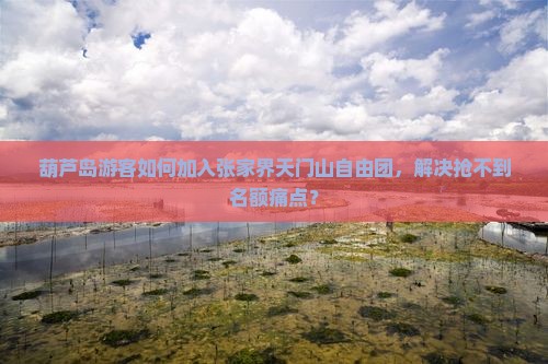 葫芦岛游客如何加入张家界天门山自由团，解决抢不到名额痛点？