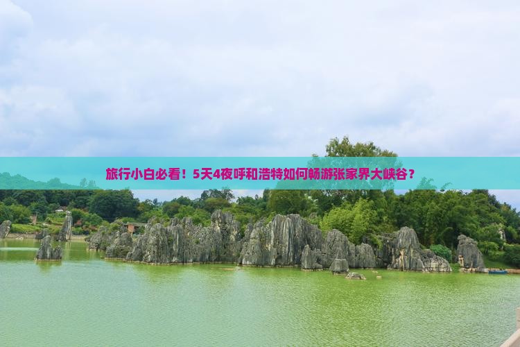 旅行小白必看！5天4夜呼和浩特如何畅游张家界大峡谷？