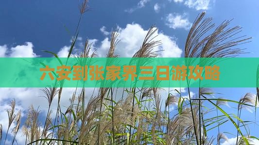 六安到张家界三日游攻略