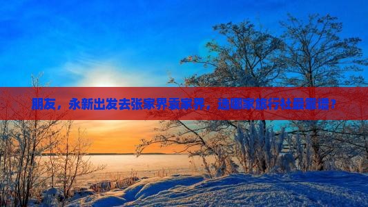 朋友，永新出发去张家界袁家界，选哪家旅行社最靠谱？
