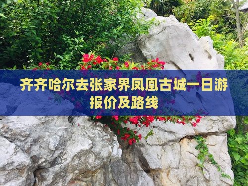 齐齐哈尔去张家界凤凰古城一日游报价及路线