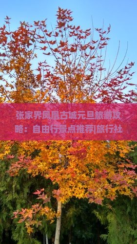 张家界凤凰古城元旦旅游攻略：自由行景点推荐|旅行社|国际旅游信息