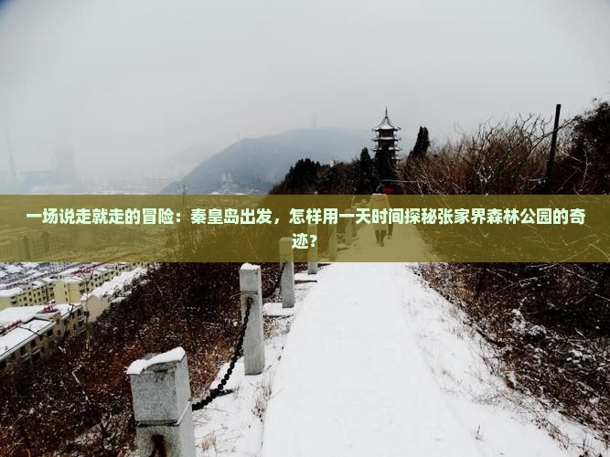 一场说走就走的冒险：秦皇岛出发，怎样用一天时间探秘张家界森林公园的奇迹？