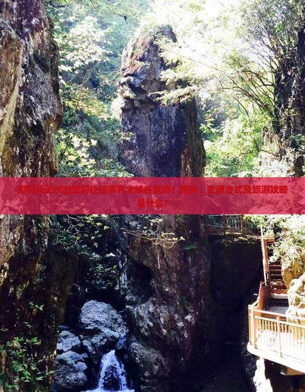 如何从天水出发前往张家界大峡谷旅游？路线、交通方式及旅游攻略是什么？