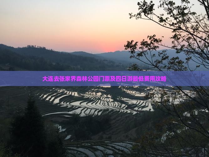 大连去张家界森林公园门票及四日游最低费用攻略