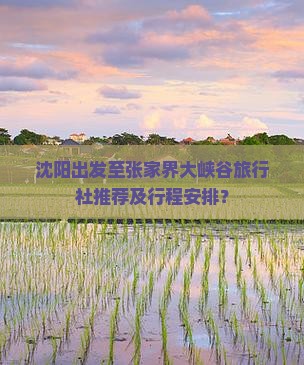 沈阳出发至张家界大峡谷旅行社推荐及行程安排？