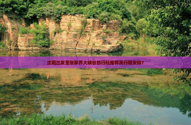 沈阳出发至张家界大峡谷旅行社推荐及行程安排？