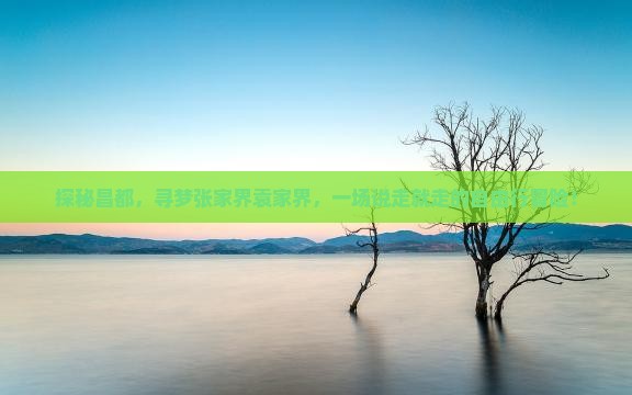 探秘昌都，寻梦张家界袁家界，一场说走就走的自由行冒险！