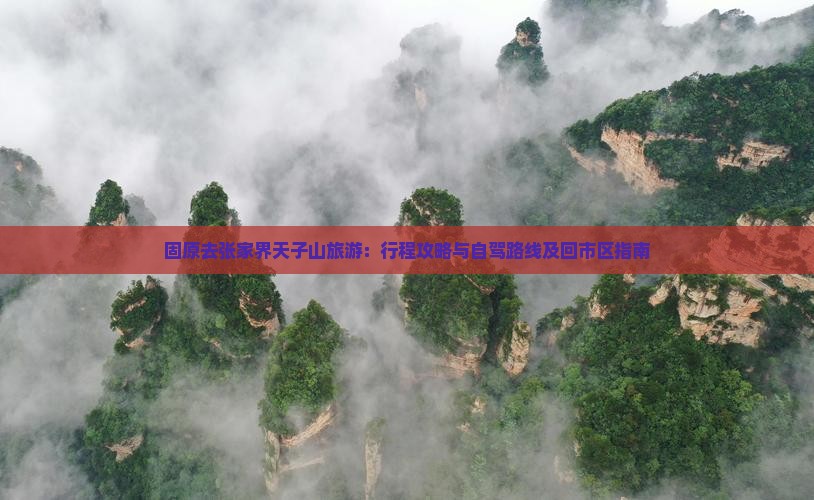 固原去张家界天子山旅游：行程攻略与自驾路线及回市区指南