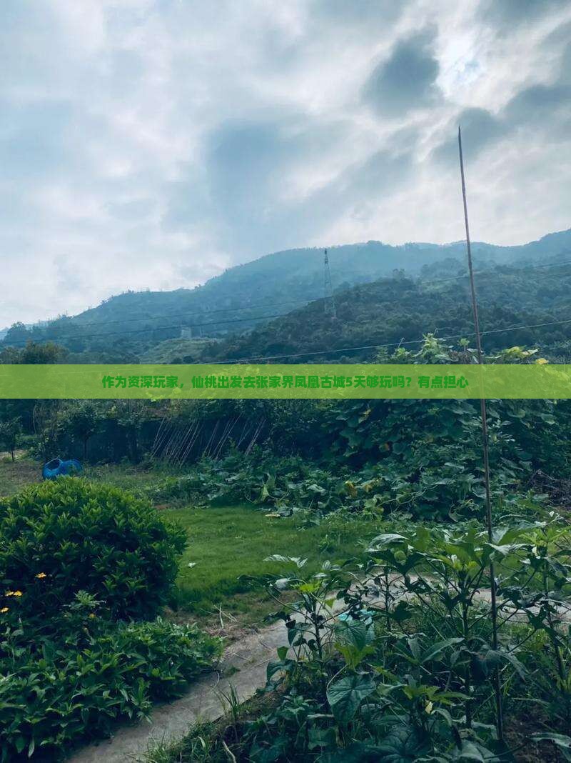 作为资深玩家，仙桃出发去张家界凤凰古城5天够玩吗？有点担心