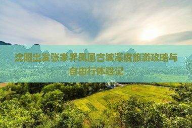 沈阳出发张家界凤凰古城深度旅游攻略与自由行体验记