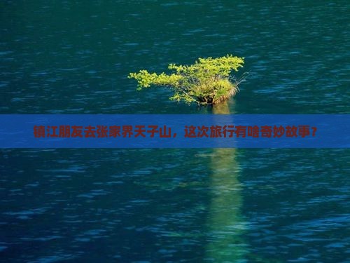 镇江朋友去张家界天子山，这次旅行有啥奇妙故事？