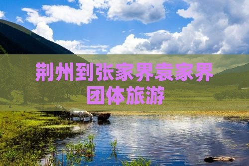 荆州到张家界袁家界团体旅游