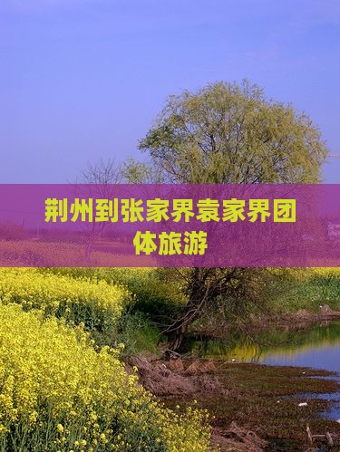 荆州到张家界袁家界团体旅游