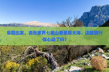 阜阳出发，去张家界七星山看星辰大海，这趟旅行你心动了吗？