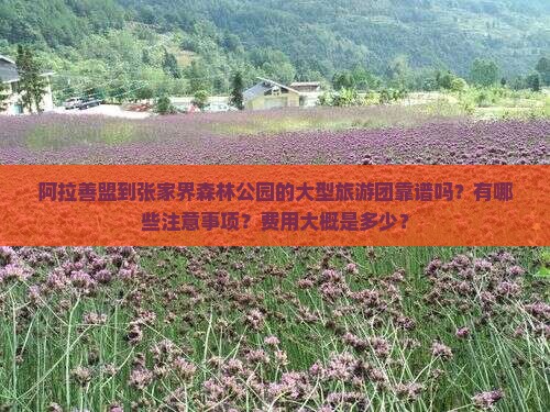 阿拉善盟到张家界森林公园的大型旅游团靠谱吗？有哪些注意事项？费用大概是多少？