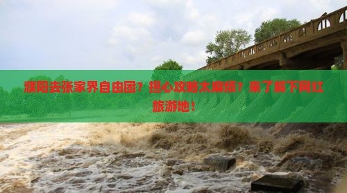 濮阳去张家界自由团？担心攻略太麻烦？来了解下网红旅游地！