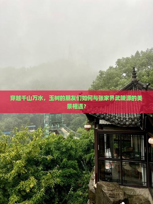 穿越千山万水，玉树的朋友们如何与张家界武陵源的美景相遇？