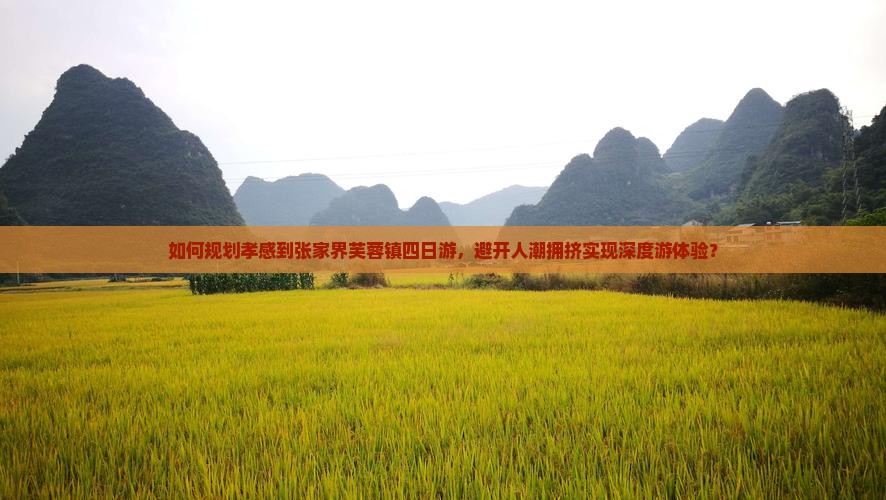如何规划孝感到张家界芙蓉镇四日游，避开人潮拥挤实现深度游体验？
