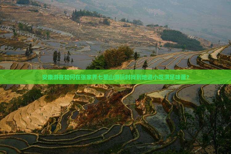 安康游客如何在张家界七星山游玩时找到地道小吃满足味蕾？