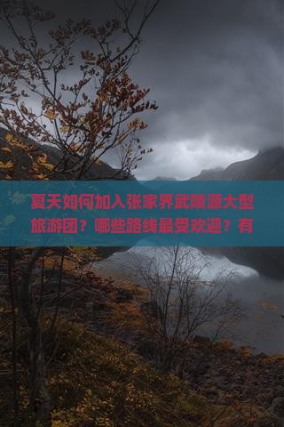 夏天如何加入张家界武陵源大型旅游团？哪些路线最受欢迎？有哪些特色活动和优惠？