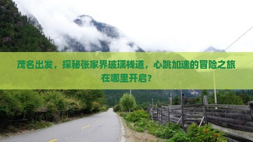 茂名出发，探秘张家界玻璃栈道，心跳加速的冒险之旅在哪里开启？