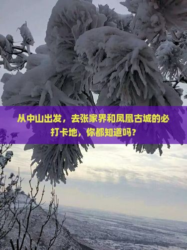 从中山出发，去张家界和凤凰古城的必打卡地，你都知道吗？
