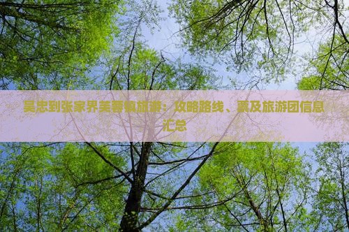 吴忠到张家界芙蓉镇旅游：攻略路线、票及旅游团信息汇总