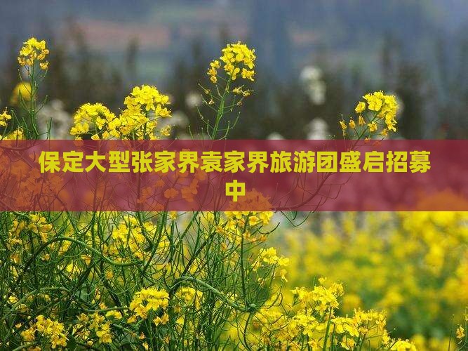 保定大型张家界袁家界旅游团盛启招募中