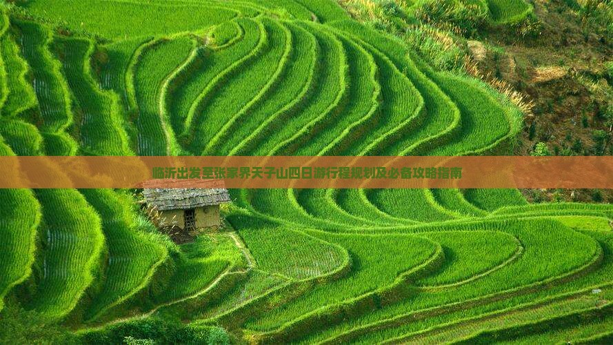 临沂出发至张家界天子山四日游行程规划及必备攻略指南