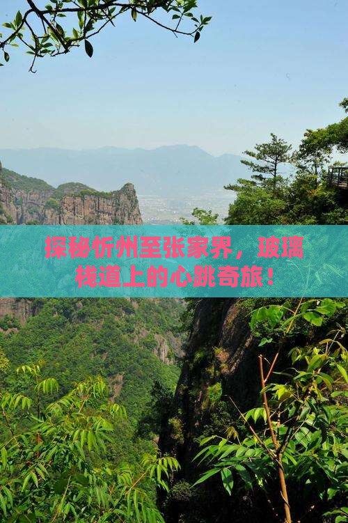 探秘忻州至张家界，玻璃栈道上的心跳奇旅！