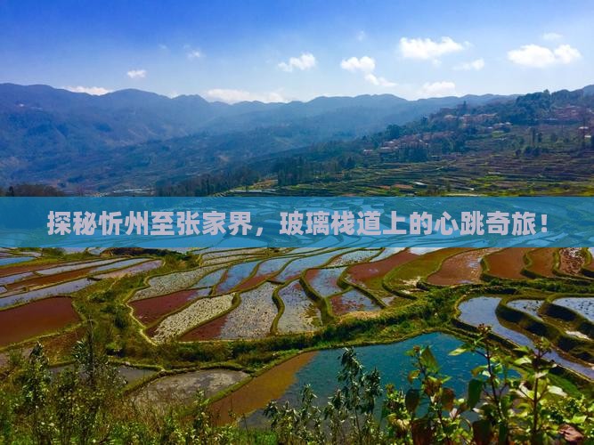 探秘忻州至张家界，玻璃栈道上的心跳奇旅！