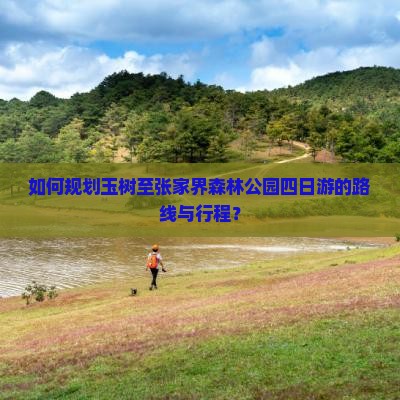 如何规划玉树至张家界森林公园四日游的路线与行程？
