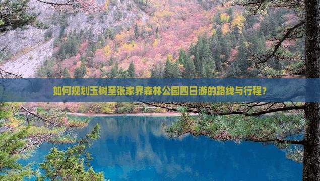 如何规划玉树至张家界森林公园四日游的路线与行程？