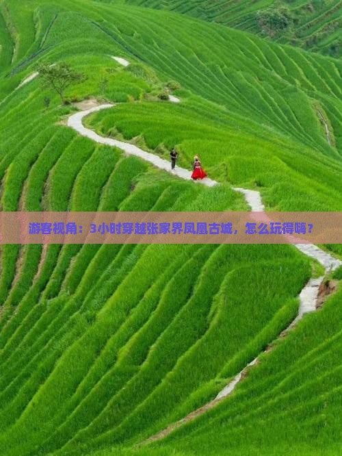 游客视角：3小时穿越张家界凤凰古城，怎么玩得嗨？